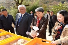 김해시, “정재숙 문화재청장, 상동백자가마터 발굴현장 방문”
