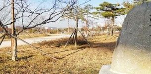 [현장] 경주시 ‘한중우호의 숲’ 가보니 예산낭비의 표본