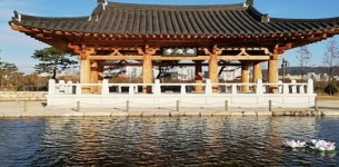 [현장] 경주시 ‘한중우호의 숲’ 가보니 예산낭비의 표본