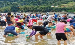 [하동군 브리핑] 하동섬진강문화재첩축제 예비 문화관광축제 지정 등