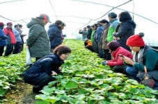 순창군, 청년실습농장 교육생 20명 모집