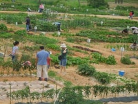 익산시, 도시민 위한 주말 가족 농장 분양 개시