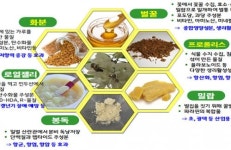 농진청, ‘양봉산물’ 로 환절기 건강 지켜요