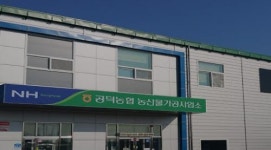 김제시 공덕농협, 생고구마 첫 홍콩 수출 개시