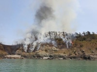 전남도, 완도군 노화읍 죽굴도 산불 진화