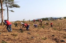 창녕군, 미세먼지 저감 위한 조림사업 추진