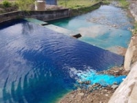 의령 리온CC, 종자파종 시약 칠곡천 무단방류