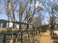 용인시, 마평동 양지천 일대 주민 휴식공간 조성