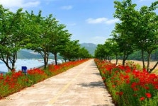 의령군, 보천과채정보화마을 꽃길 조성