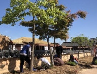 벽골제관광지 사랑의 꽃길 조성