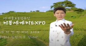 [하동군 브리핑] 하동 ‘1다원 1홍보 영상’ 유튜브 띄운다 등