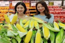 롯데마트 올해 첫 하우스 초당 옥수수 선보여