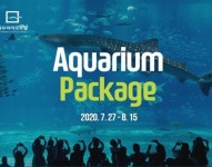 해운대 영무파라드, 아쿠아리움 투어 패키지 진행