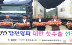 합천군, 2020 양파 대만 첫 수출 길 올라