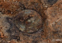 [김해시 브리핑] 대성동고분군 10차 발굴서 가야 주요 유물 쏟아져 등