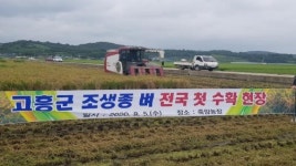 고흥군, 전국최초 조생종 벼 수확