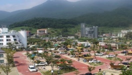 학동자동차야영장, 문화행사 기지개
