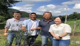 전남도, ‘친환경 올리브’ 재배기술 개발