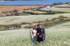 [포토] 메밀꽃 내려앉은 장흥 선학동 마을