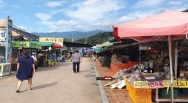 [하동군 브리핑] 전국 어디서나 함께 해요 ‘온택트 화개장터’ 등