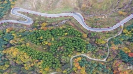 [포토] 오색단풍으로  물든 오도재