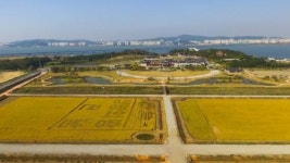 전남농업박물관-목포대 고고문화인류학과, 연구 협력