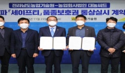 전남농업기술원, 육성 양파 신품종 ‘세이프티’ 통상실시 계약
