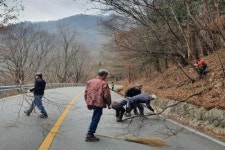 무주군, ‘설천면 구천동 가로수길’  정비사업 펼쳤다