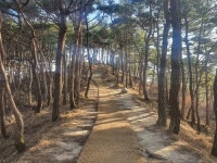 남원 시민이 자주찾는 덕음산 등산로 새롭게 선보이다