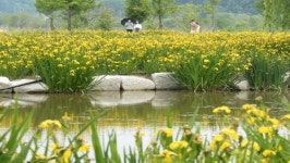 [거창군 브리핑]  거창창포원, 경남도 지방정원 1호 등록 등