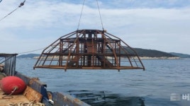 옹진군, 풍요로운 어장 조성위해 지속 가능한 어업기반 마련