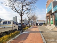 진도군, 컬러관목 식재로 생기 넘치는도심 조성