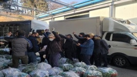 [하동군 브리핑] 지리산 청학골 취나물 본격 출하 등