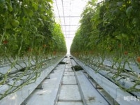 화순군, 스마트 팜 농업 분야 확대...미래 농업 집중 육성