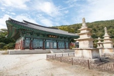 [장흥 이야기 ①] 천년고찰 보림사