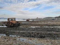 완도군, 50억 투입 연안 바다목장 147ha 규모 조성 중