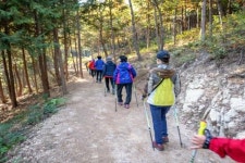 영광군, 코로나시대 걷기는 물무산 행복숲에서
