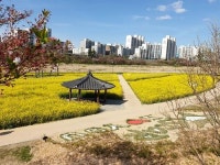 영천시, 시민행복 도시공원 조성