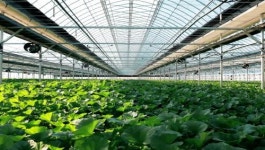 장성군, 스마트 농업으로 똑똑하게 농사 짓는다