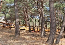 구례군, 지리산정원 솔숲 힐링쉼터 조성