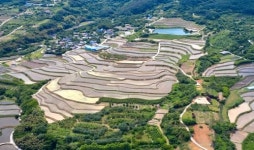 [포토]구례산동면 사포마을, 다랭이논 모내기