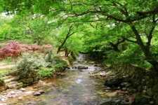 “싱그러운 초여름, 해남에서 힐링하세요”…달마고도·4est수목원 등  해남 여행지 3선