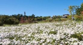 지리산정원·구례수목원 비대면 휴양지로 각광