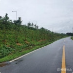 도공 광주전남본부, 광주대구선 강천산휴게소 인근 부지에 미세먼지 차단숲 조성