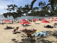 “올 여름 피서는 전남 해수욕장에서”… 전남도,해남 송호 등 54곳 개장