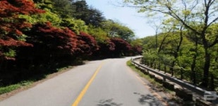 남원시, 국지도 60호선 개량사업 확정