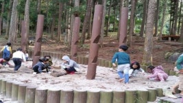 장흥군, 정남진 편백숲 우드랜드 2022년도 유아숲 교육 참여 기관 모집