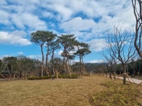 광양시, 유당공원 주변 구)광양역 폐선부지 미세먼지차단숲 조성 완료