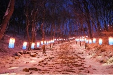 계양구 ‘2022년도 새로운 희망 염원’ 청사초롱·소원트리 설치