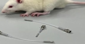 케이메디허브 경상기술료 수익 상생